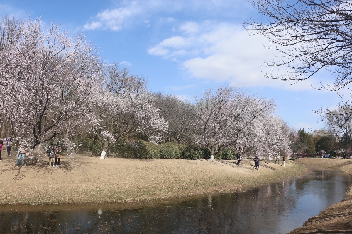 Image05.jpg