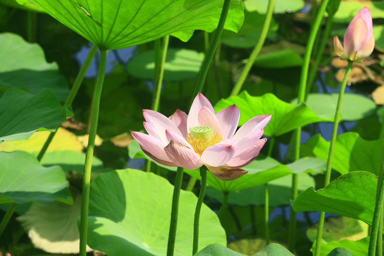 Image03.jpg
