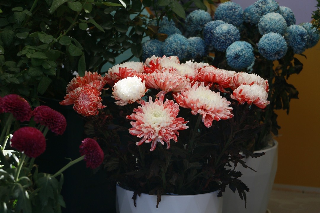 Image04.jpg