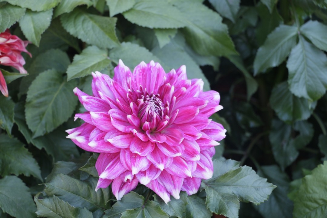 Image08.jpg