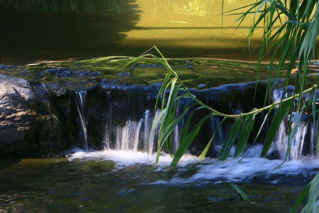Image03.jpg