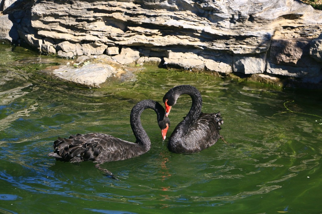 Image01.jpg