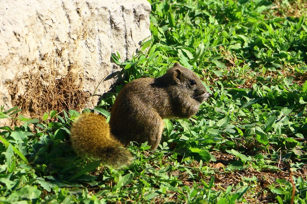 Image02.jpg