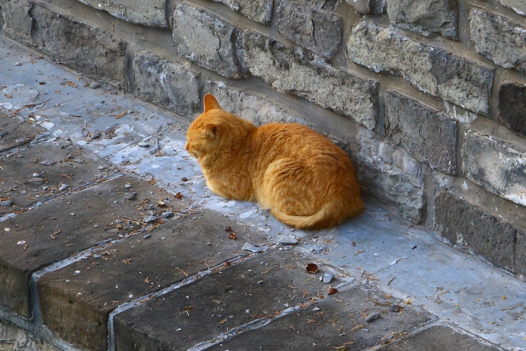 Image09.jpg