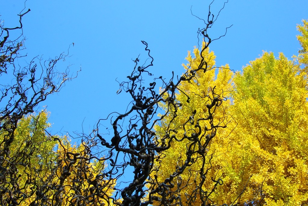 Image07.jpg