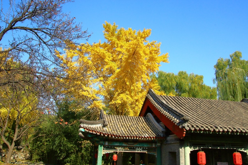 Image09.jpg