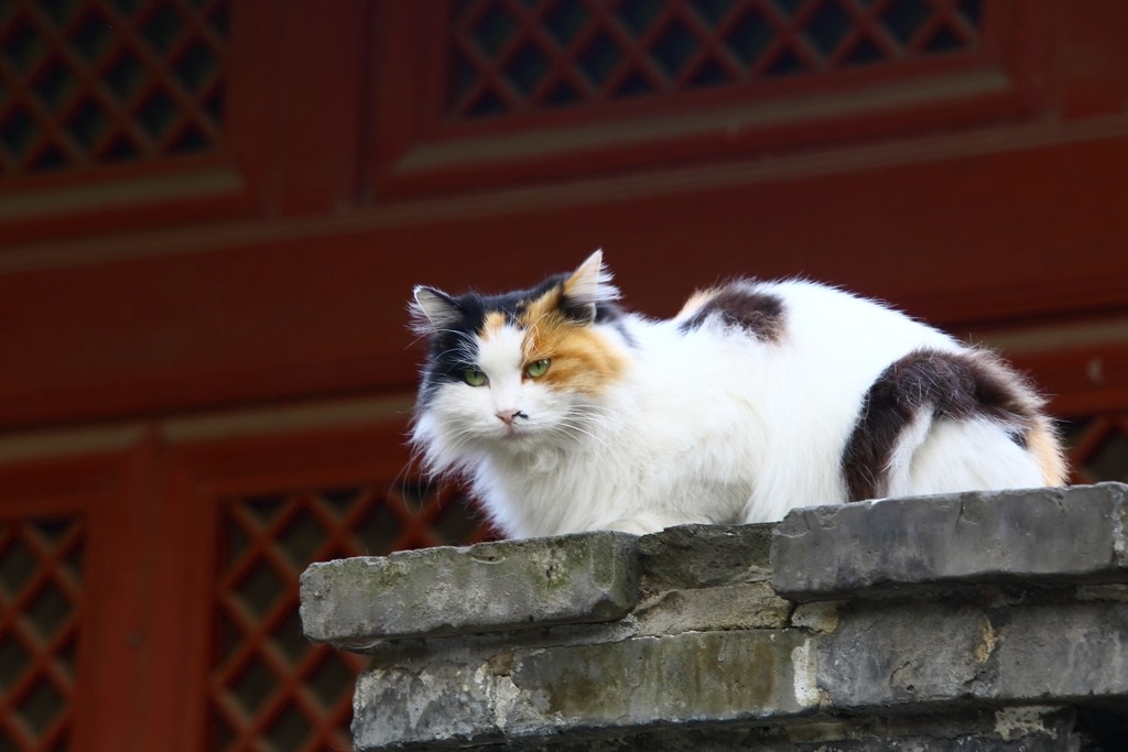 Image05.jpg