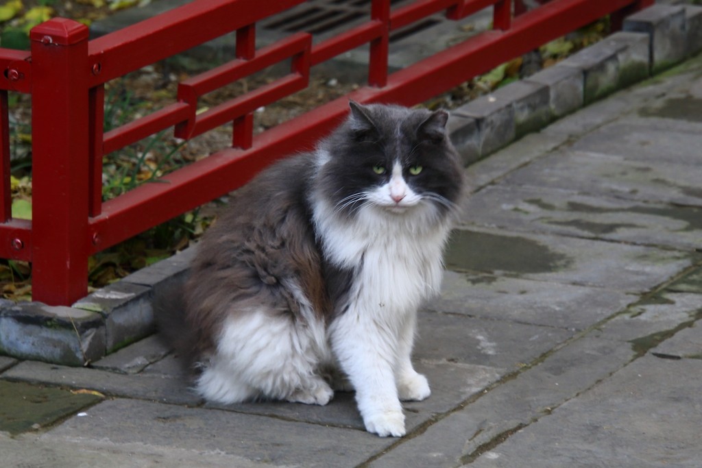 Image06.jpg