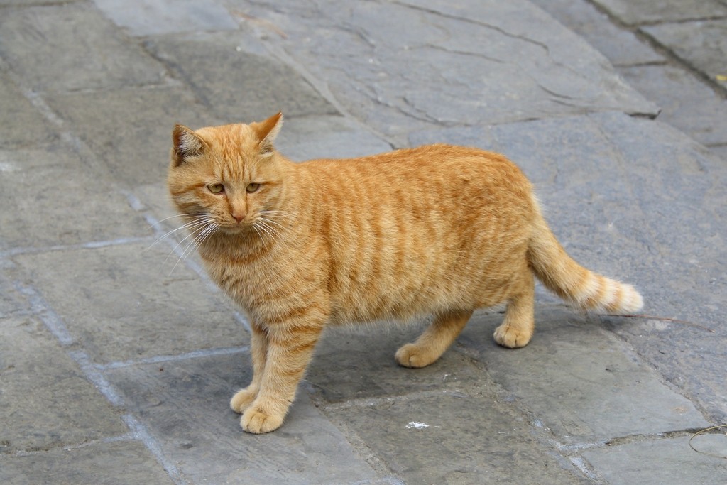 Image07.jpg