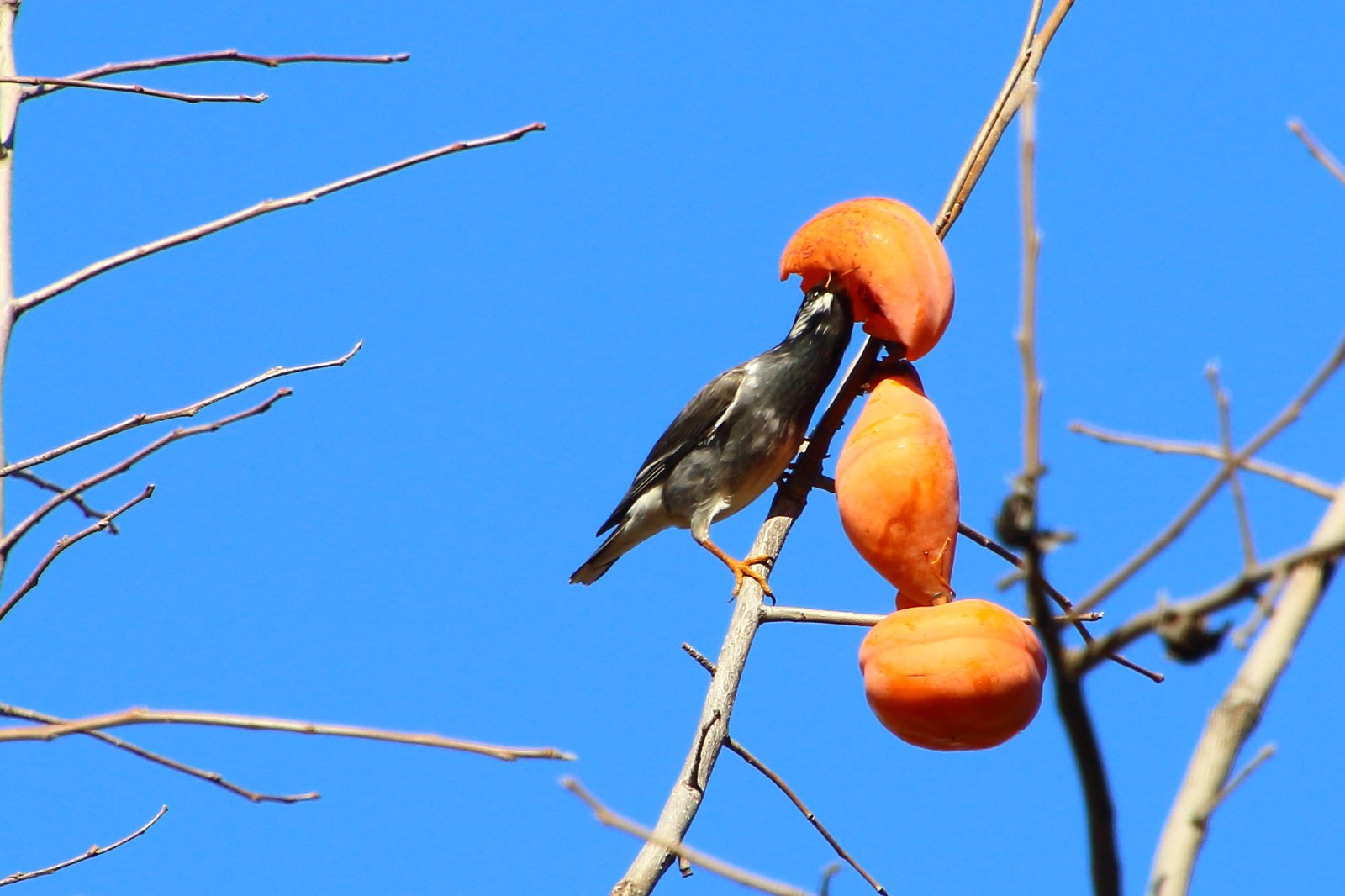 Image05.jpg