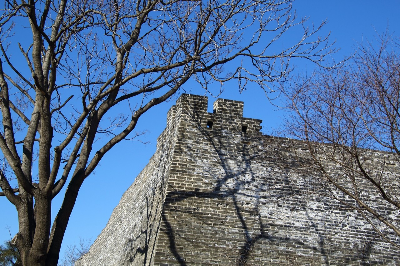 Image03.jpg