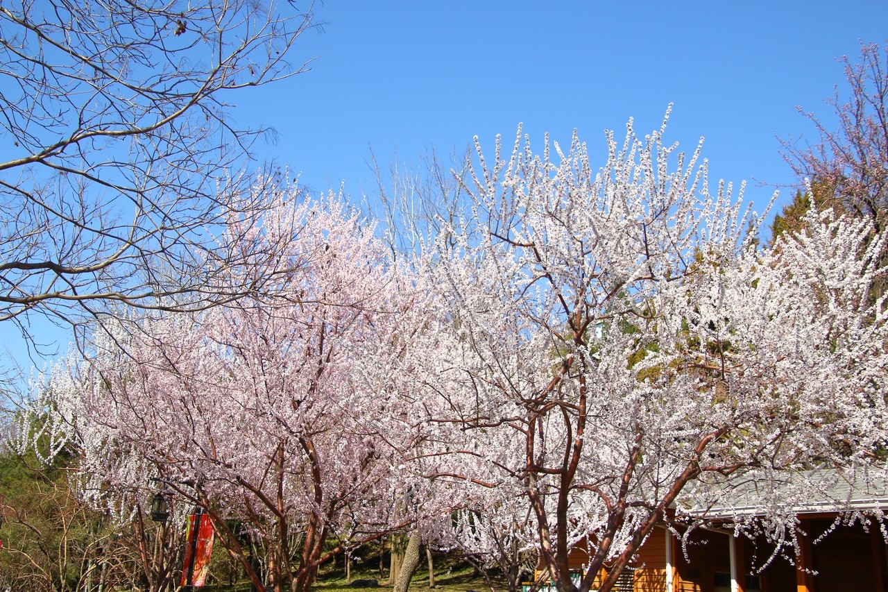 Image06.jpg