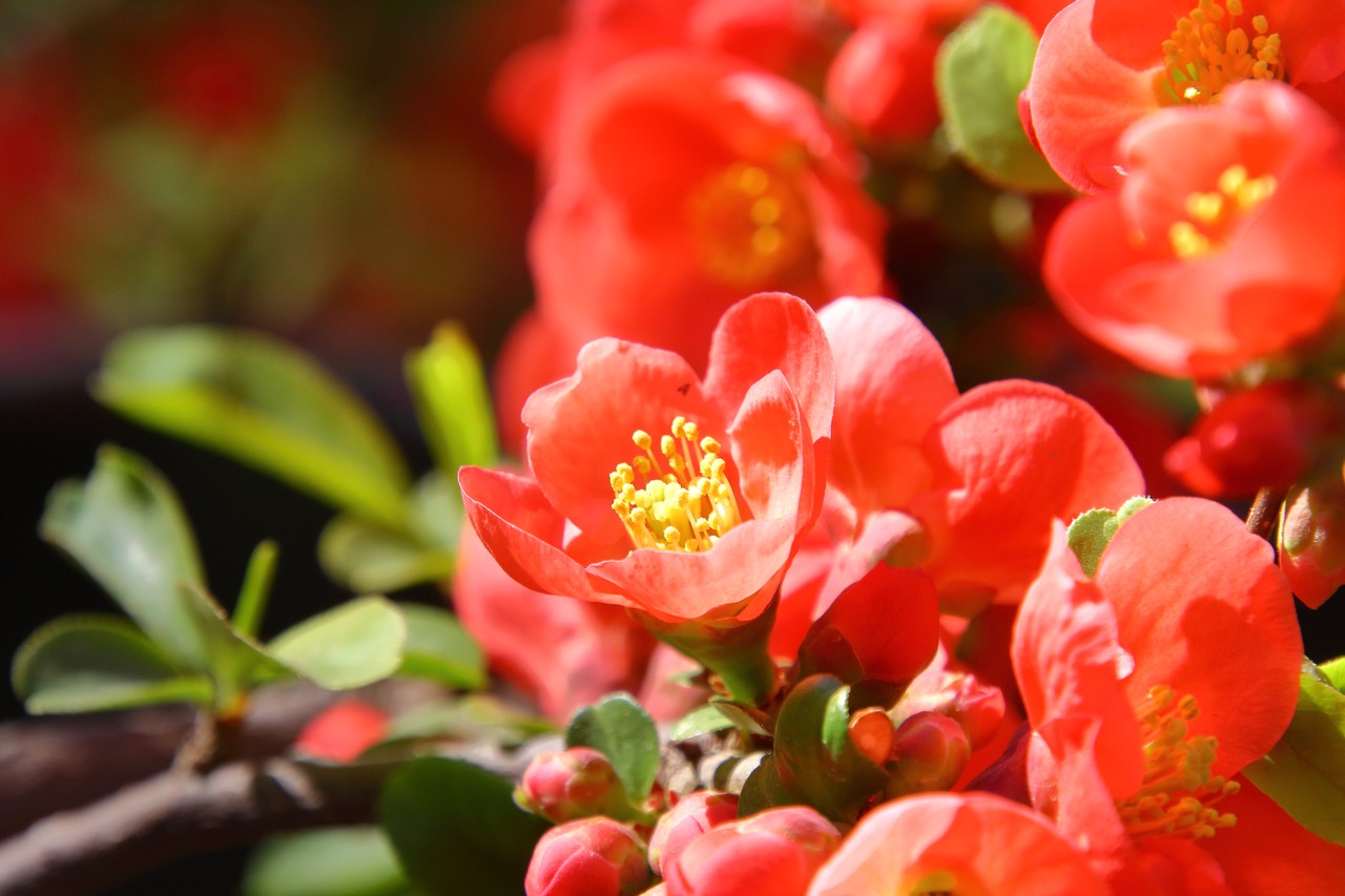 Image04.jpg