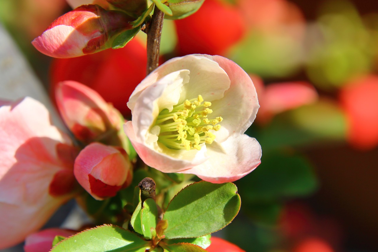 Image05.jpg