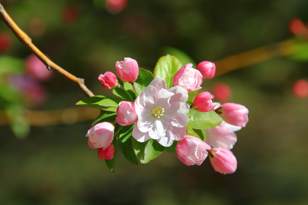 Image08.jpg