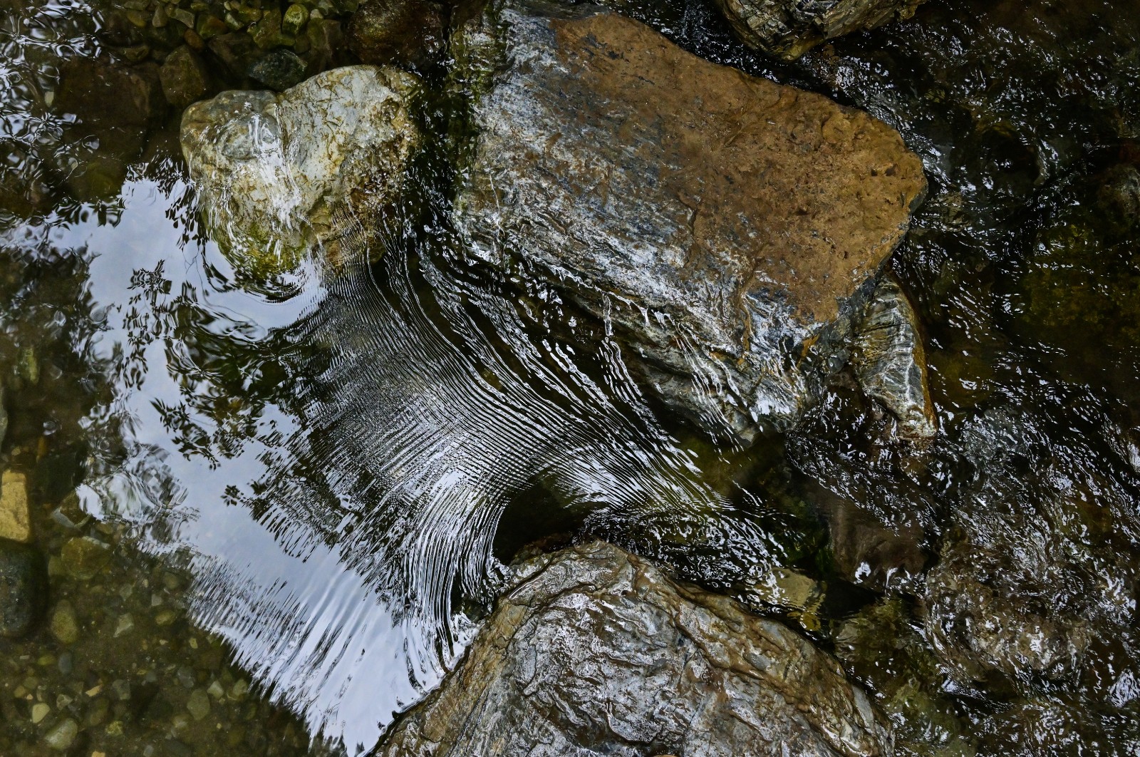 0009.jpg