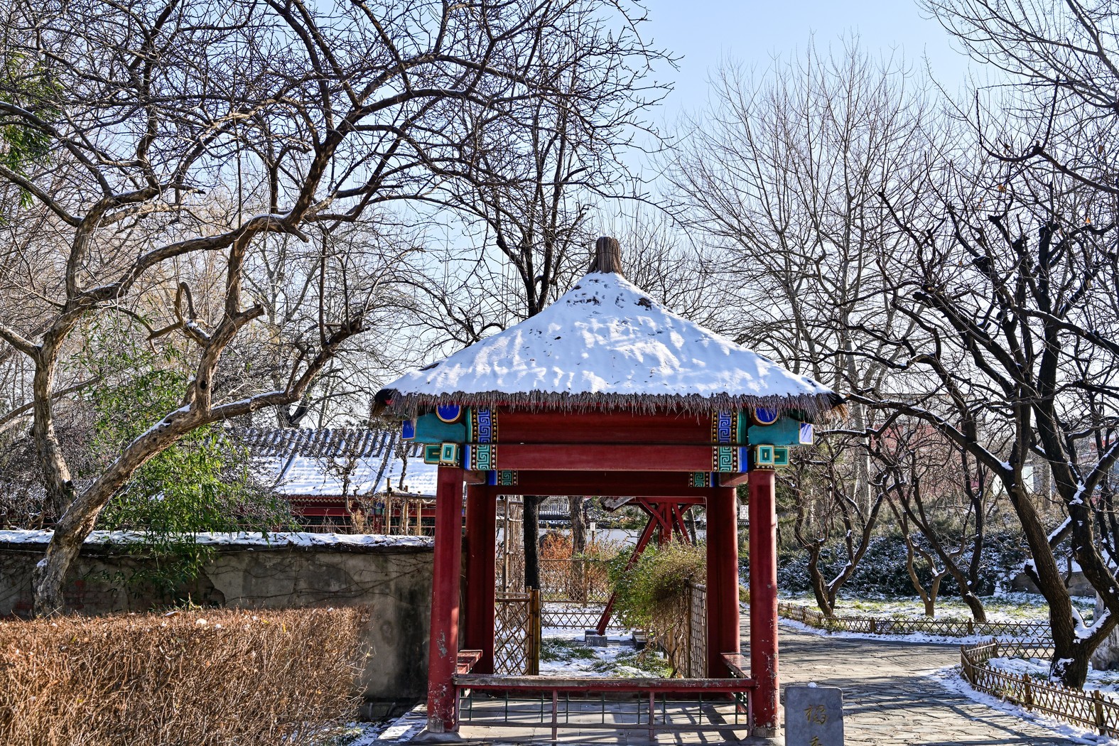 IMG-3878.jpg