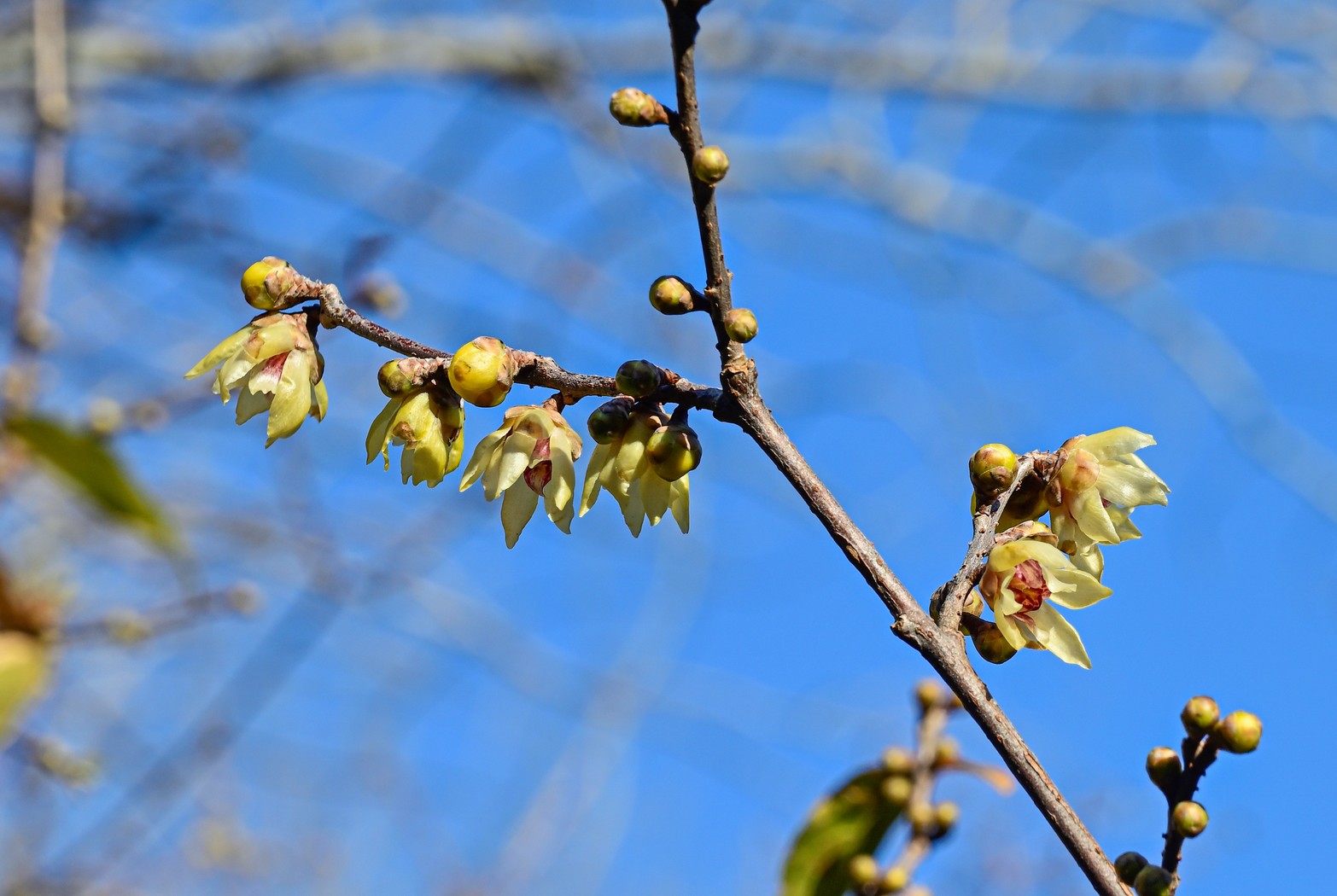 IMG-3866.jpg