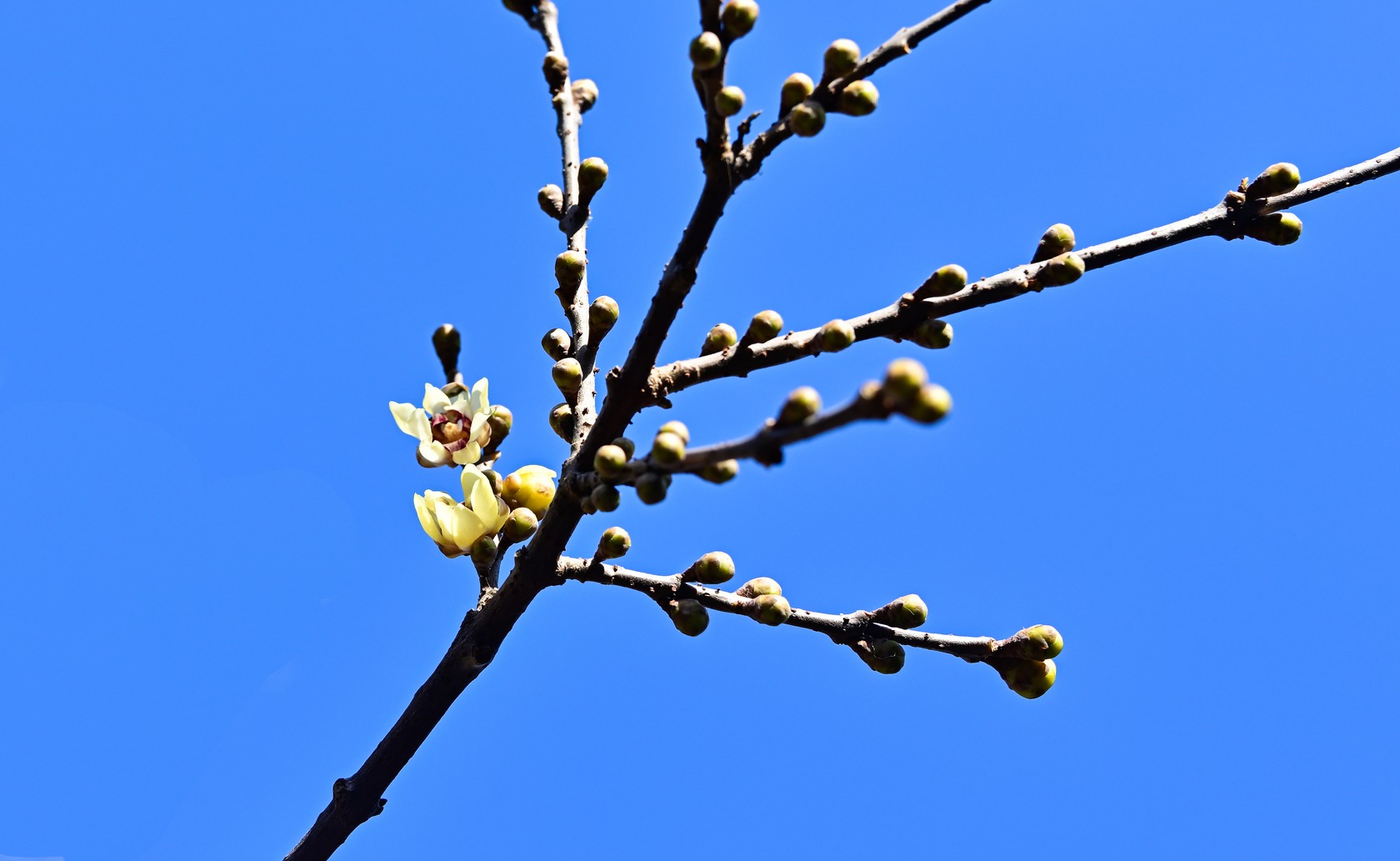 IMG-3887.jpg