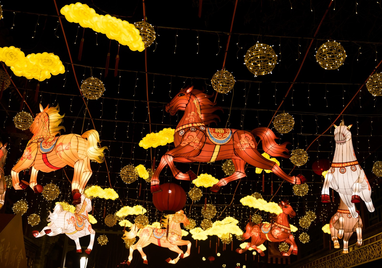 IMG-4536.jpg